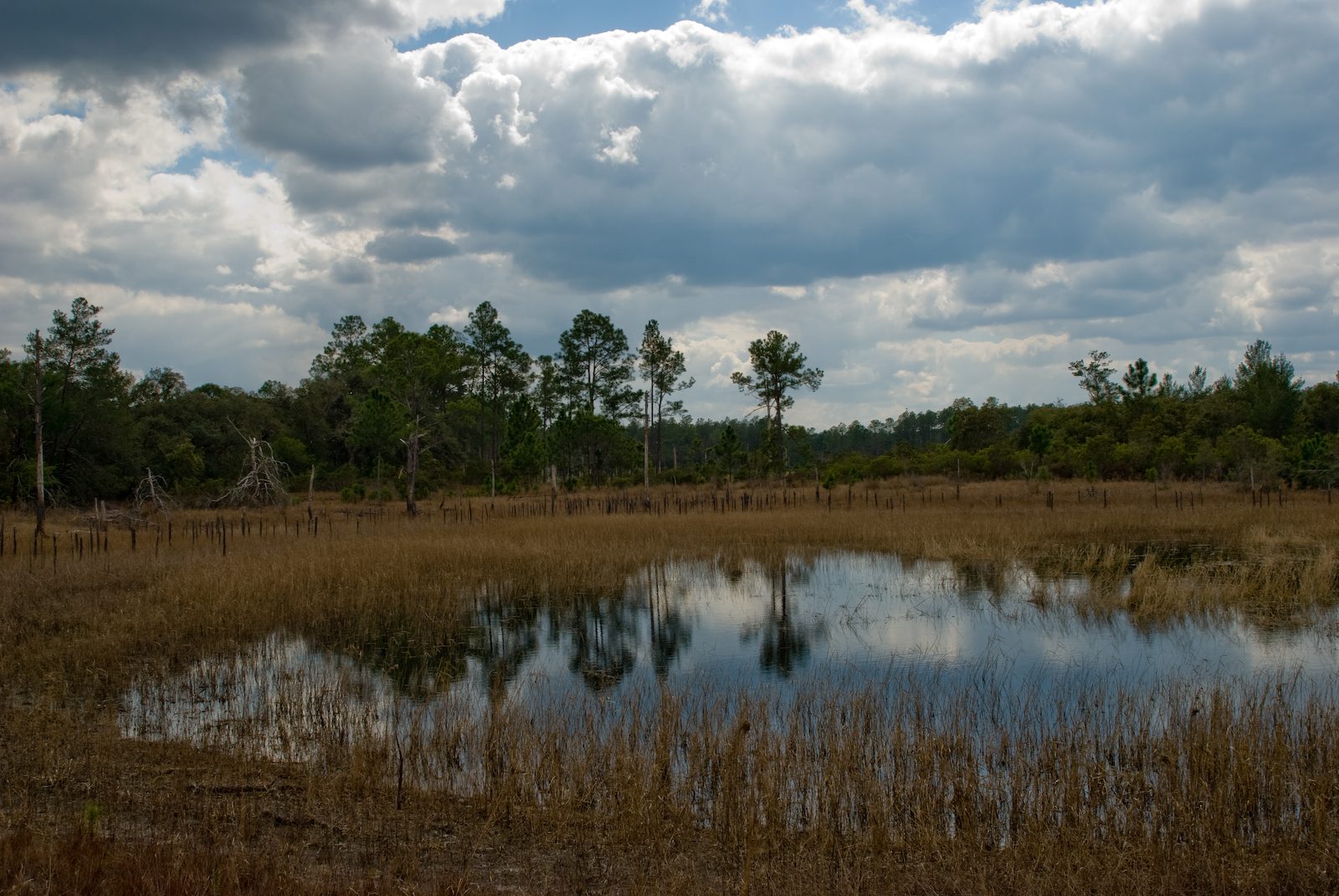 St. Lucie County Florida landscape along the Indian River Lagoon and Treasure Coast